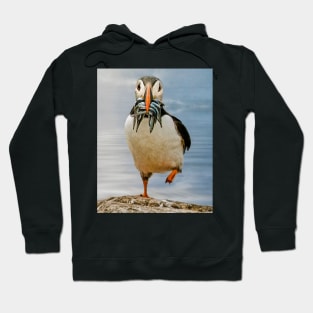 Happy feet Hoodie